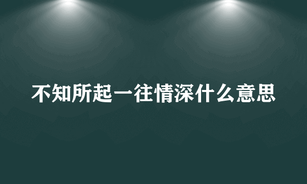 不知所起一往情深什么意思