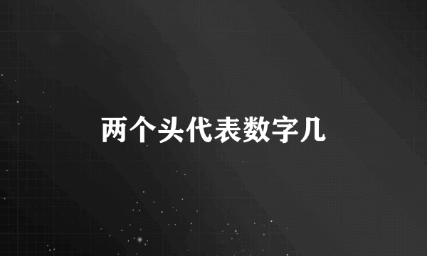 两个头代表数字几