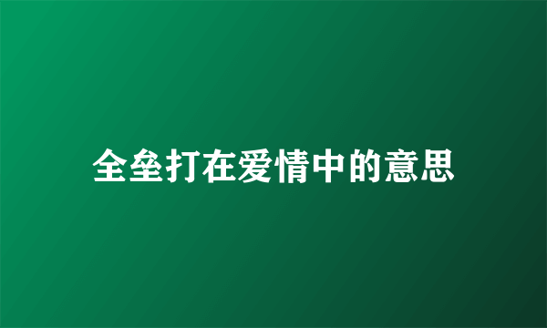 全垒打在爱情中的意思