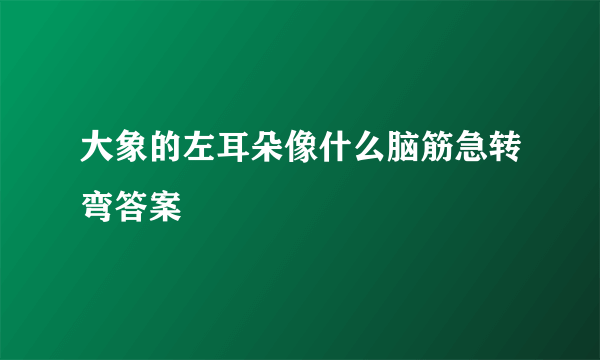 大象的左耳朵像什么脑筋急转弯答案