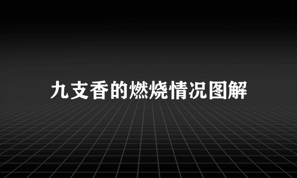 九支香的燃烧情况图解
