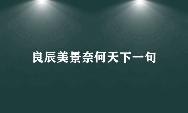 良辰美景奈何天下一句