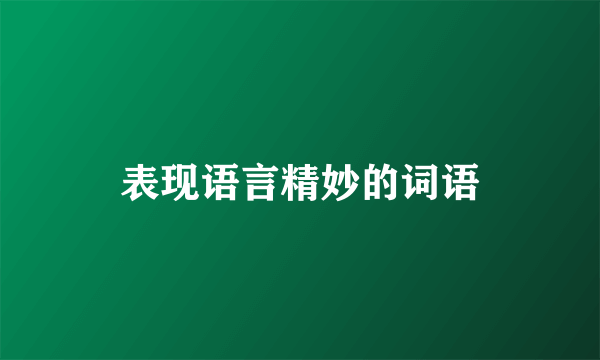 表现语言精妙的词语