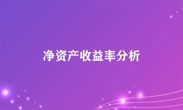 净资产收益率分析