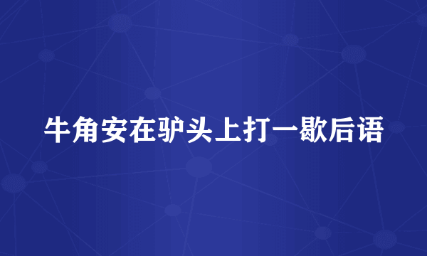 牛角安在驴头上打一歇后语