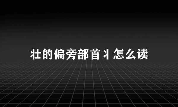 壮的偏旁部首丬怎么读