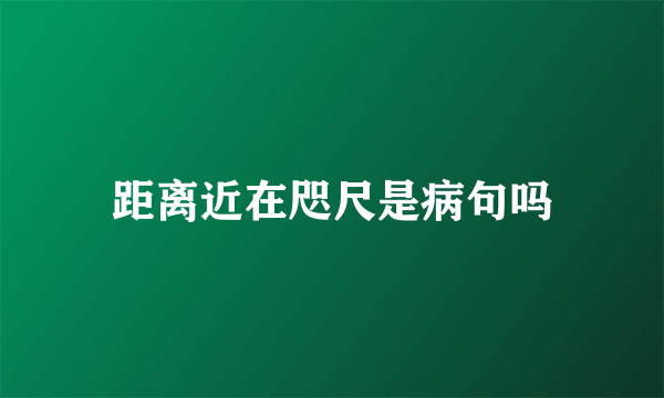 距离近在咫尺是病句吗