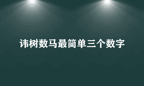 讳树数马最简单三个数字
