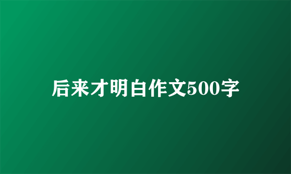 后来才明白作文500字