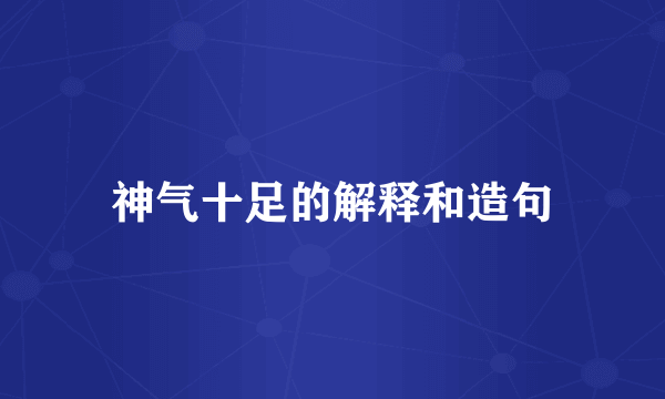 神气十足的解释和造句