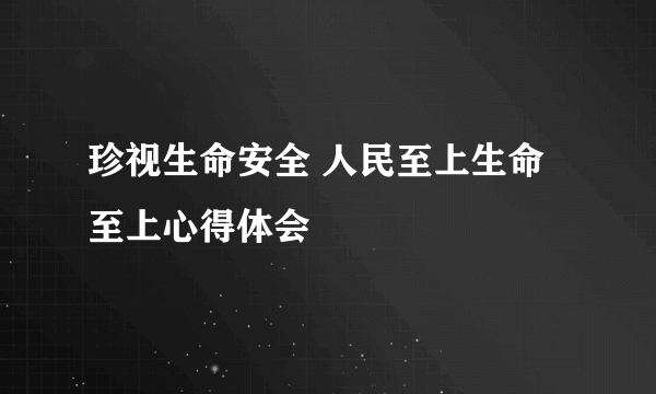 珍视生命安全 人民至上生命至上心得体会