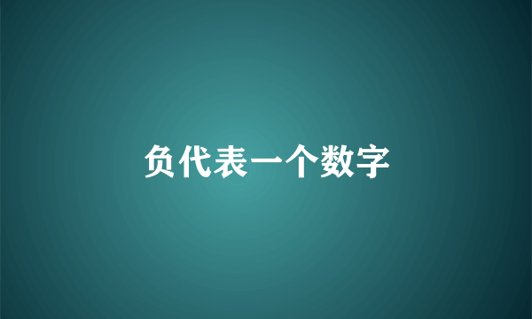 负代表一个数字