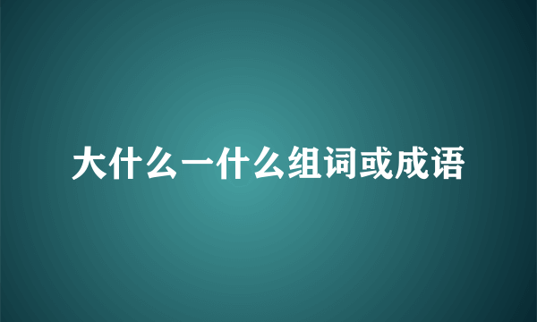 大什么一什么组词或成语
