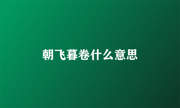 朝飞暮卷什么意思