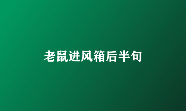 老鼠进风箱后半句