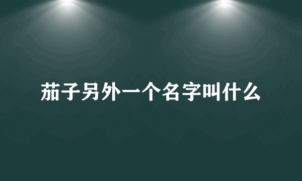 茄子另外一个名字叫什么
