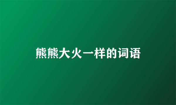 熊熊大火一样的词语