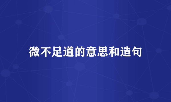 微不足道的意思和造句