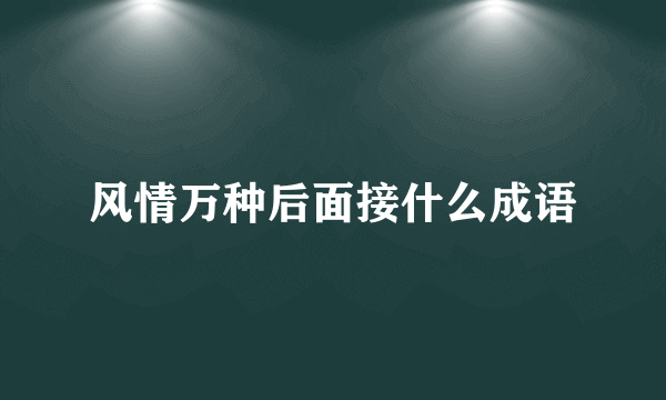 风情万种后面接什么成语