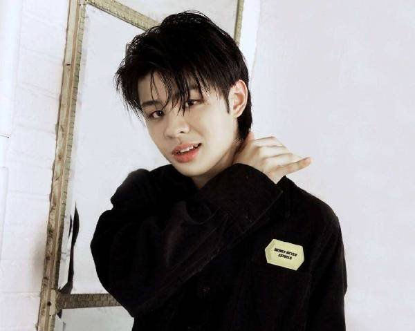 王晨艺为什么退赛?