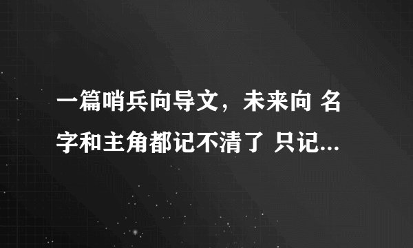 一篇哨兵向导文，未来向 名字和主角都记不清了 只记得大概剧情