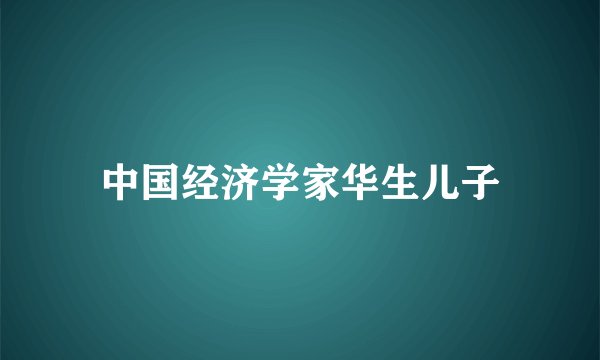 中国经济学家华生儿子