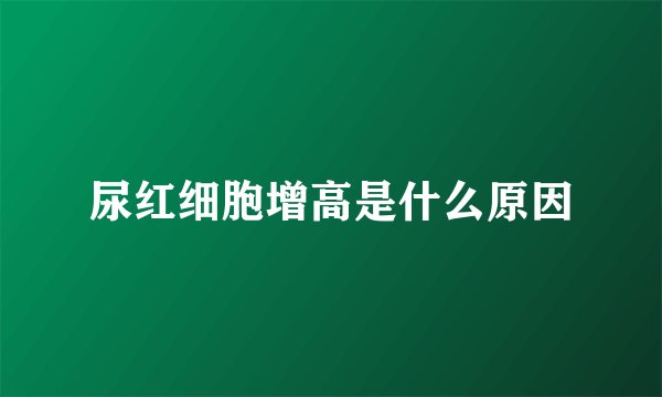 尿红细胞增高是什么原因