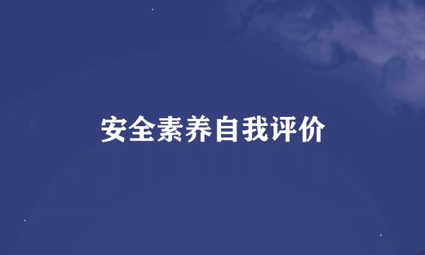 安全素养自我评价