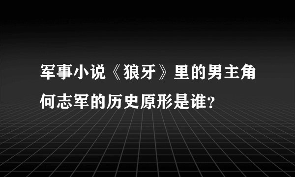 军事小说《狼牙》里的男主角何志军的历史原形是谁？