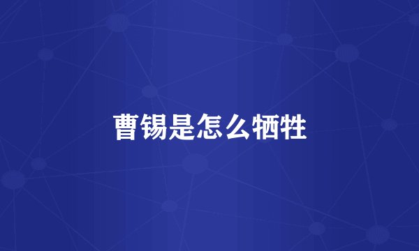 曹锡是怎么牺牲