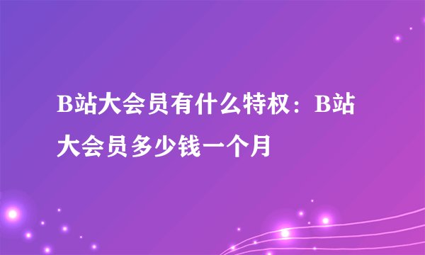 B站大会员有什么特权：B站大会员多少钱一个月