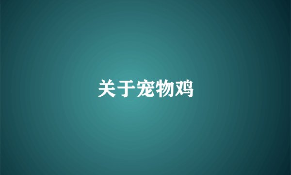 关于宠物鸡