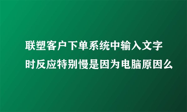 联塑客户下单系统中输入文字时反应特别慢是因为电脑原因么