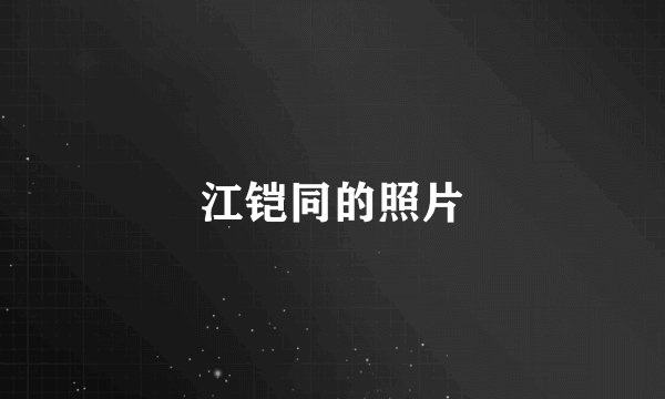 江铠同的照片