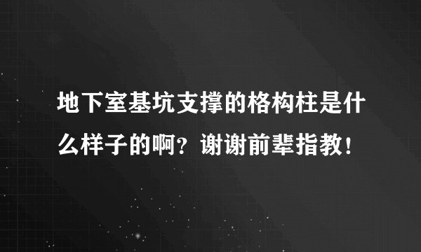 地下室基坑支撑的格构柱是什么样子的啊？谢谢前辈指教！