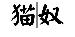 猫奴是什么意思?