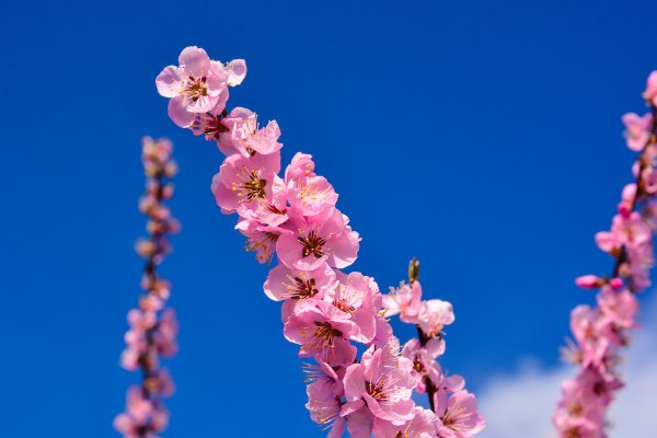 八月暖，九月温，十月还有小阳春。是什么意思