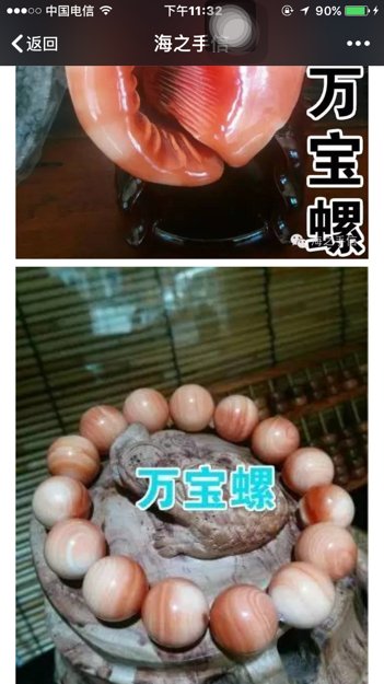 这个手串是万宝螺还是血砗磲呀?价位多少呀?