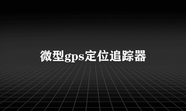 微型gps定位追踪器