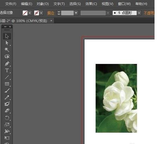 illustrator cs6怎么把图片多余部分删除？
