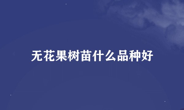 无花果树苗什么品种好