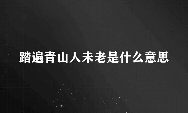 踏遍青山人未老是什么意思