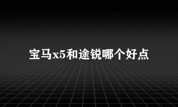 宝马x5和途锐哪个好点