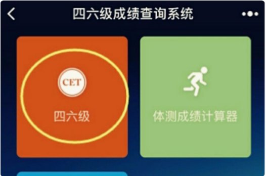 大学英语六级查询