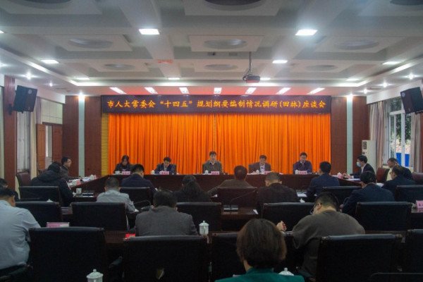 十四五是什么意思？