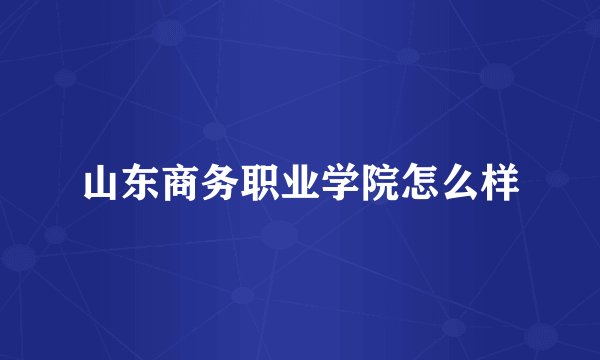山东商务职业学院怎么样
