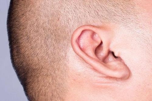 吃了耳屎真的会变成哑巴吗?