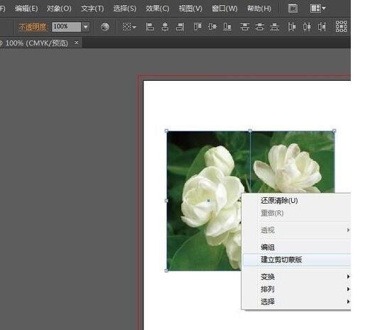 illustrator cs6怎么把图片多余部分删除？