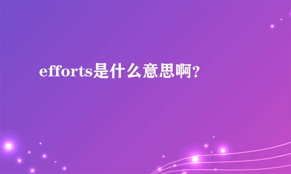 efforts是什么意思啊?