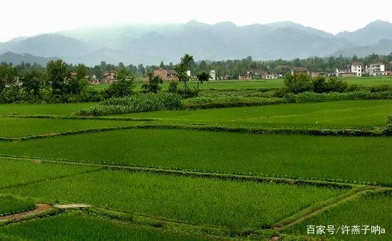 耕地、基本用田和永久基本农田有什么区别？